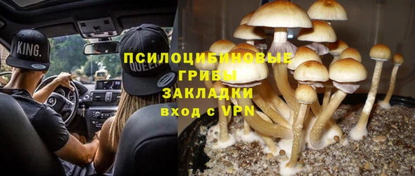 первитин Алексин