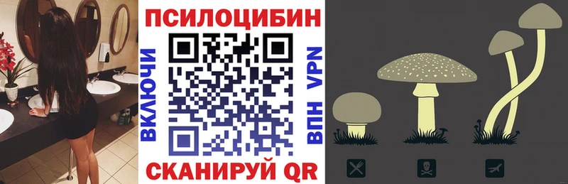 Псилоцибиновые грибы MAGIC MUSHROOMS  Чишмы 